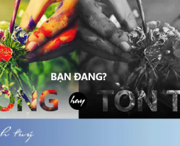 Bạn đang sống hay chỉ đang tồn tại?