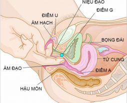 Cách nhận biết điểm G chuẩn nhất?